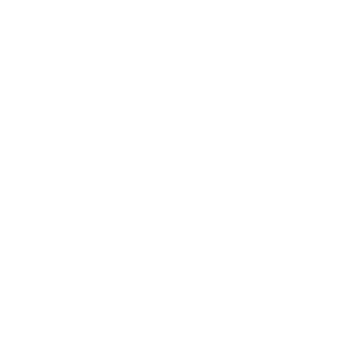 Ícone Representante